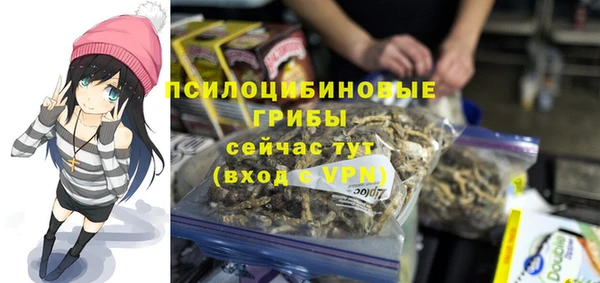 герыч Куйбышев